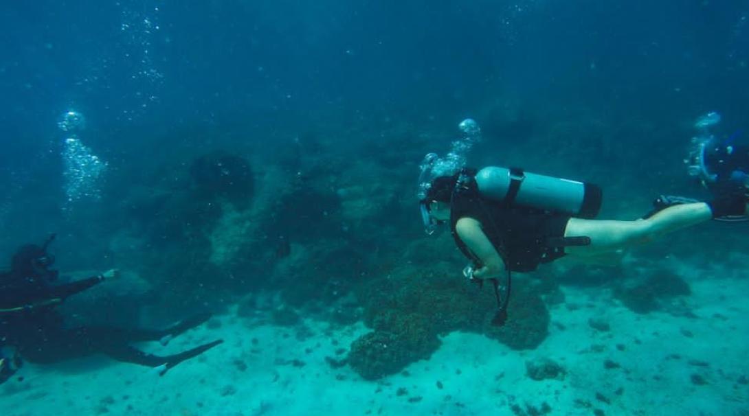 An underwater dive survey